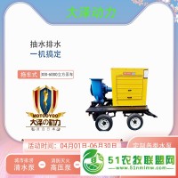 備用大澤動(dòng)力300立方柴油水泵 TO300PM