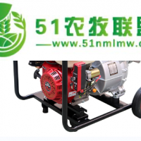 6寸電啟動(dòng)小型水泵，抗旱*汽油水泵HS60X