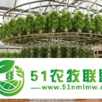 濱州溫室大棚廠家 無(wú)土栽培設(shè)備 種植技術(shù)