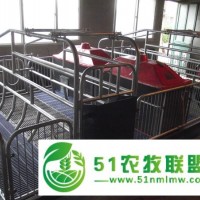 仔豬電熱板 母豬產(chǎn)床保溫板 碳纖維電熱板