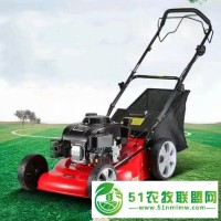 手推割草機(jī) 170動(dòng)力草坪機(jī) 高爾夫球場(chǎng)剪草機(jī)
