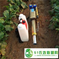 多功能小型煙霧水霧一體機(jī) 雙管脈沖便捷式煙霧機(jī) 公共場所別墅消毒機(jī)