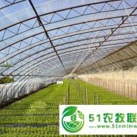 七洲智能溫室大棚造價 大連生產(chǎn)智能玻璃溫室大棚的企業(yè) pc板連棟溫室大棚