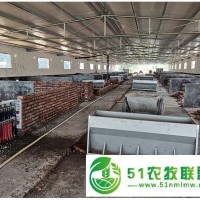 豬用自動下料豬料槽可自動加料加料機不銹鋼喂豬設(shè)備