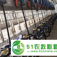成城物聯(lián)-廣西并列式奶廳-奶牛并列式奶廳