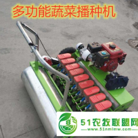 山東菏澤市播種機(jī) 蔬菜播種機(jī)廠家 小白菜播種機(jī)銷售