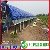 養(yǎng)鴨大棚建設(shè) 籠養(yǎng)鴨棚施工搭建 養(yǎng)鴨棚安裝廠家