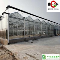 智能連棟玻璃溫室設(shè)計 國興廠家** 質(zhì)量保障