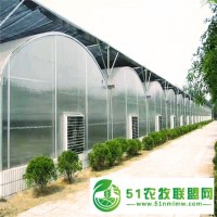 農(nóng)業(yè)大棚建設工程 聯(lián)動大棚造價 連棟溫室工程 輝騰溫室