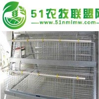 熱鍍鋅蛋雞籠網(wǎng)片