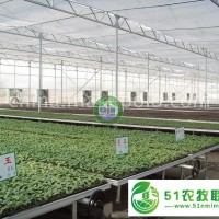 【歌珊溫室】蔬菜大棚內(nèi)部溫度如何才能保證持恒