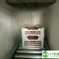 櫻桃車?yán)遄宇A(yù)冷機(jī) 水噴淋櫻桃保鮮機(jī)