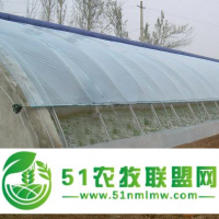 廠家供應(yīng) 冬暖式日光溫室 山東連棟薄膜溫室