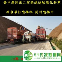 煙臺邊坡種草泥土噴播機出租供應(yīng)