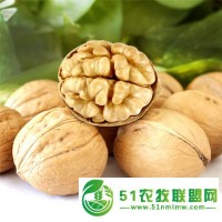 拼多多社區(qū)團(tuán)購(gòu)新疆核桃廠家批發(fā)批發(fā)價(jià)格