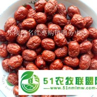 供應(yīng)紅棗樂陵金絲小棗