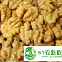 供應(yīng)核桃仁 采購核桃仁新疆特色核桃仁 質(zhì)量保證