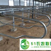 雙面標準熱鍍鋅鋼管牛臥床供貨商