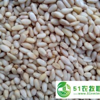 宏鴻集團--深圳農(nóng)產(chǎn)品-松仁
