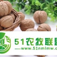 堅果進(jìn)口報關(guān)-越南開心果進(jìn)口報關(guān)代理