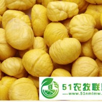供應(yīng)栗米