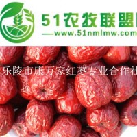 新疆大棗**銷售供應(yīng)袋裝方便攜帶