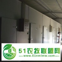 核桃、花生、堅(jiān)果冷庫(kù)設(shè)計(jì)建造