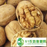 供電商平臺社區(qū)團購地攤新疆核桃廠家一手貨源