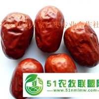 新疆和田大棗廠家批發(fā)團(tuán)購 品質(zhì)好價(jià)格優(yōu)惠