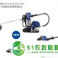 韓國(guó)現(xiàn)代進(jìn)口割草機(jī)HYUNDAI割灌機(jī)X4036除草機(jī)日本進(jìn)口