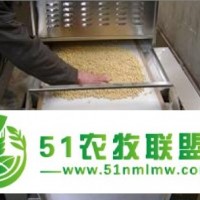 供應(yīng)微波腰果烘焙烘烤機(jī)