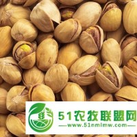 供應(yīng)中東開(kāi)心果廣州進(jìn)口報(bào)關(guān)至廣東各地區(qū)