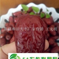 誠(chéng)信新疆大棗廠家供應(yīng)商
