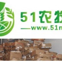 供應(yīng)江蘇冷庫銷售 500立方冷庫價(jià)格 板栗冷庫