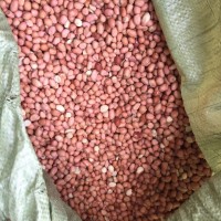 非洲塞內(nèi)加爾 岡比亞 科特迪瓦花生 小白沙和油豆