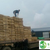 甘南縣林木種植*合作社，齊齊哈爾甘南縣林木種植*合作社，齊齊哈爾*的林木種植業(yè)
