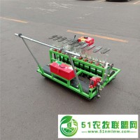 汽油蔬菜播種機(jī) 大白菜精播機(jī) 不用人工撒種