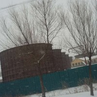 東北農家自產有機玉米收購 黑龍江大量收購農副產品廠家