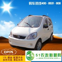 中國新款四輪電動(dòng)汽車燃油助力車?yán)夏耆擞^光休閑代步車