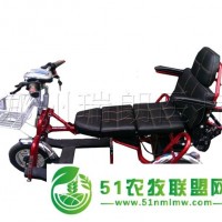 珍美澳雙人折疊老年電動代步車 靈活多用 體積小