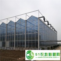 陽光板溫室大棚 大棚造價 溫室建設(shè) 廠家** 金德鑫溫室