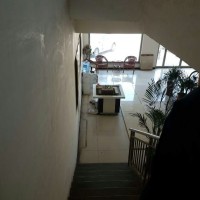 河北省哪家種植室內好