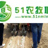 廠家**田耐爾油菜移栽機(jī)，價(jià)錢便宜，質(zhì)量好