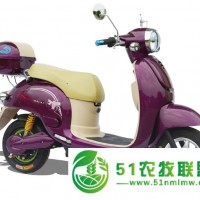 電動(dòng)車(chē)廠家價(jià)位——買(mǎi)質(zhì)量可靠的*龜電動(dòng)車(chē)當(dāng)然是到麥科特了