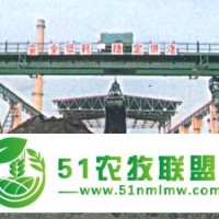 供應(yīng)雙梁抓斗橋式起重機(jī)、門式起重機(jī)、起重機(jī)維修