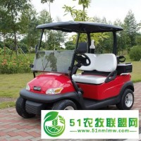 廣東2座，2+2座高爾夫觀光車出售，廠家 批發(fā)