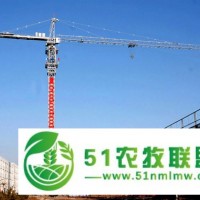 25噸大型水壩建設(shè)使用塔機(jī) 臂長(zhǎng)80米臂端3噸塔式起重機(jī) 獨(dú)立高度77米塔機(jī) QTZ500塔吊 TC8030全國(guó)成員之一大型吊 尖頭塔機(jī) 與法國(guó)波坦德國(guó)利勃海爾質(zhì)量相當(dāng) 耐高溫 耐俄羅斯低溫 防銹防腐