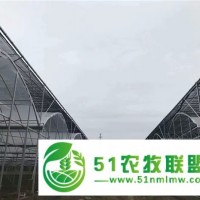 火龍果大棚安裝-火龍果大棚-科農(nóng)溫室承載力強(qiáng)(查看)