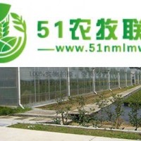 其實科技 智PC陽光板溫室