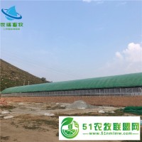 肉牛養(yǎng)殖大棚搭建 養(yǎng)牛棚建設(shè) 牛舍安裝成本
